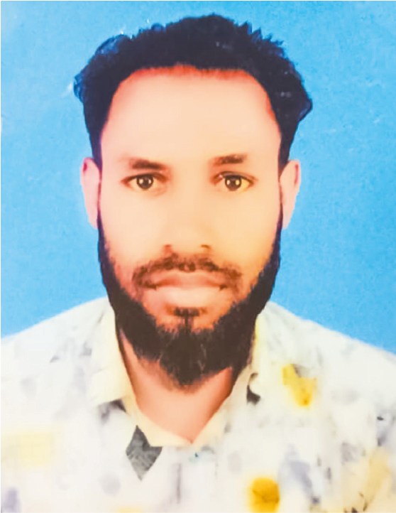 Photo of মো: হাফিজুল ইসলাম